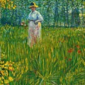A Woman Walking in a Garden